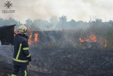 В Пересыпском районе города горели поля орошения: пожар удалось потушить спустя четыре часа (фото, видео)