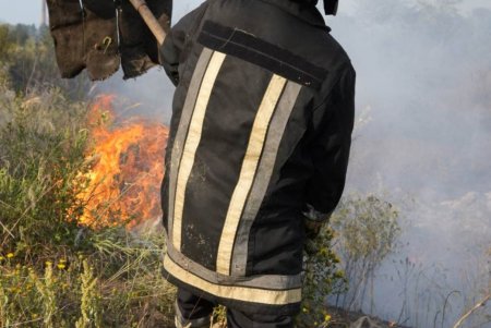 В Пересыпском районе города горели поля орошения: пожар удалось потушить спустя четыре часа (фото, видео)