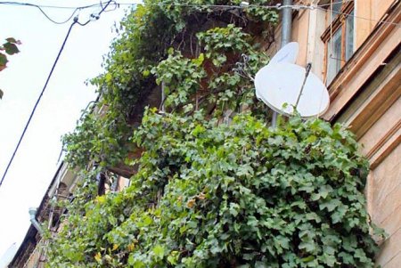 Улица Нежинская: старинные особняки и современные дома (фоторепортаж) 