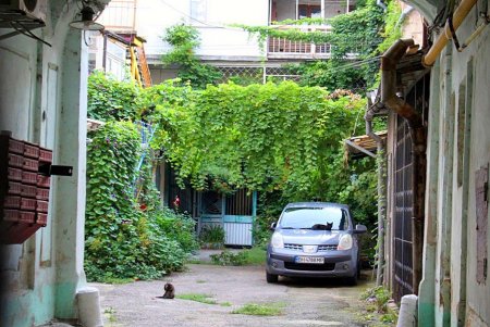 Улица Нежинская: старинные особняки и современные дома (фоторепортаж) 