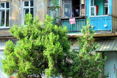 Улица Нежинская: старинные особняки и современные дома (фоторепортаж) 