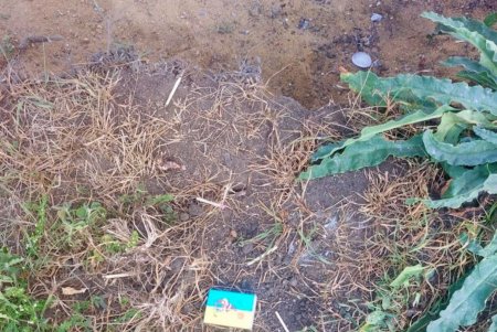 Два подростка из Раздельнянского района получили термохимические ожоги из-за взрыва неизвестного предмета (фото)