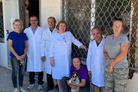 На дачах в районе села Алтестово бесплатно провакцинировали от бешенства более 200 домашних животных (фото)