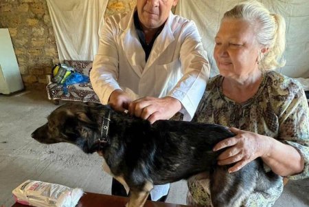 На дачах в районе села Алтестово бесплатно провакцинировали от бешенства более 200 домашних животных (фото)