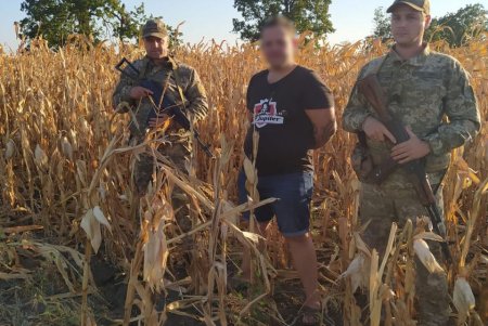 В Одесской области на границе с Молдовой один нарушитель выявлен в кукурузе, другого обнаружил служебный пес (фото)