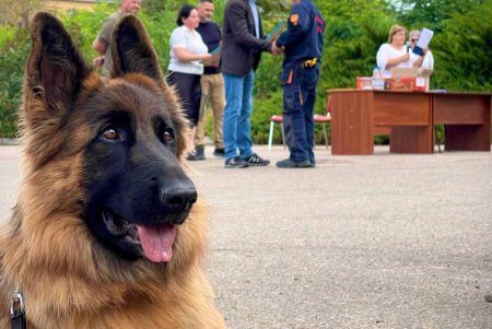 Мэр Одессы вручил награды спасателям и добровольцам по случаю профессионального праздника (фото, видео)