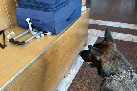 Пятерых иностранцев, перевозящих наркотики, остановили при въезде в Украину пограничники Одесской области (фото)