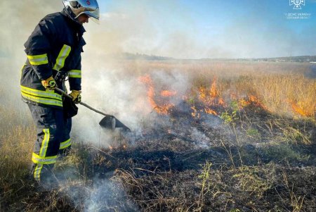 За сутки в регионе выгорели более двух десятков гектаров земли (фото)