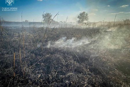 За сутки в регионе выгорели более двух десятков гектаров земли (фото)