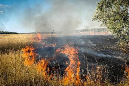 За сутки в регионе выгорели более двух десятков гектаров земли (фото)