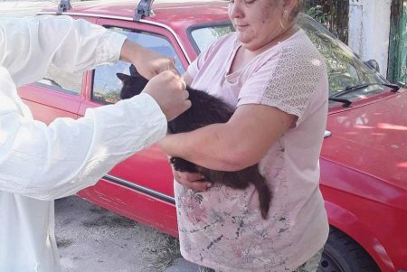 В Одесской области проводится кампания по бесплатной вакцинации животных от бешенства (фото)