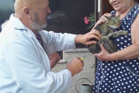 В Одесской области проводится кампания по бесплатной вакцинации животных от бешенства (фото)