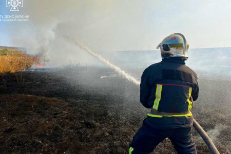 В Березовском районе спасатели борются с возгоранием сухой растительности: за последние дни сгорело почти восемь гектаров земли (фото, видео)