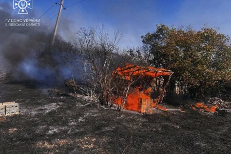 В Березовском районе спасатели борются с возгоранием сухой растительности: за последние дни сгорело почти восемь гектаров земли (фото, видео)