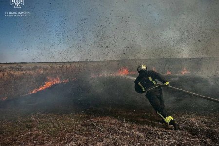 В Березовском районе спасатели борются с возгоранием сухой растительности: за последние дни сгорело почти восемь гектаров земли (фото, видео)