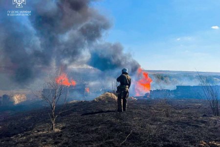 В Березовском районе спасатели борются с возгоранием сухой растительности: за последние дни сгорело почти восемь гектаров земли (фото, видео)