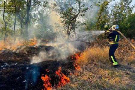В Березовском районе спасатели борются с возгоранием сухой растительности: за последние дни сгорело почти восемь гектаров земли (фото, видео)