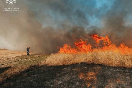 В Березовском районе спасатели борются с возгоранием сухой растительности: за последние дни сгорело почти восемь гектаров земли (фото, видео)