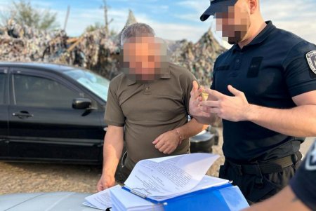 В нацпарке «Куяльницкий» директор лесхоза незаконно организовал масштабную вырубку дубов, ясеней и акаций (фото)