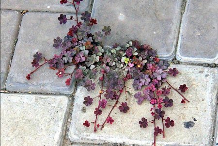 Одна из самых динамичных улиц Одессы — Екатерининская (фоторепортаж)
