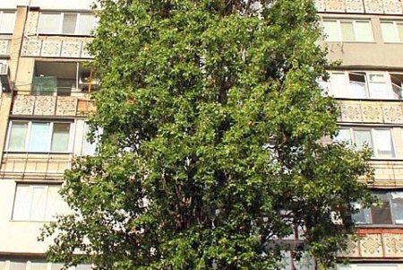 Одна из самых динамичных улиц Одессы — Екатерининская (фоторепортаж)