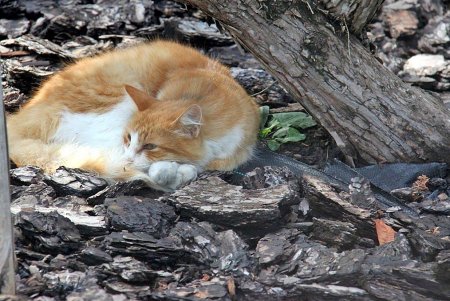 Одна из самых динамичных улиц Одессы — Екатерининская (фоторепортаж)