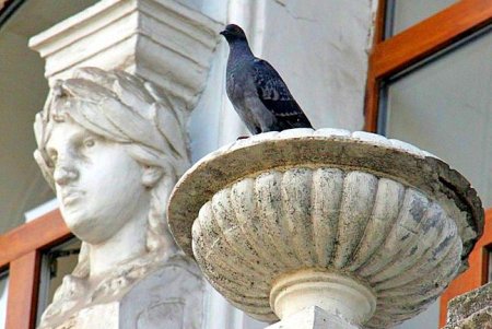 Одна из самых динамичных улиц Одессы — Екатерининская (фоторепортаж)