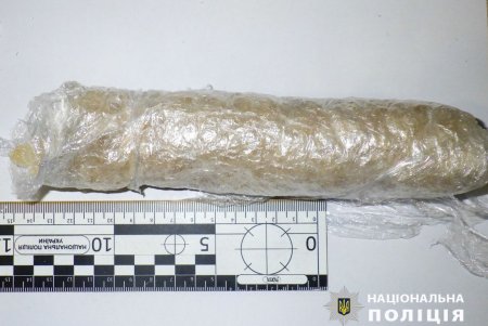 В Белгород-Днестровском районе на границе задержали двух иностранных наркокурьеров (фото)