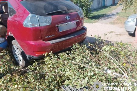 В Усатово иномарка столкнулась с внедорожником: травмировались водитель и трое детей (фото)