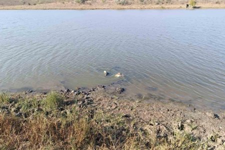 В молдавском озере нашли обломки ракеты (фото)