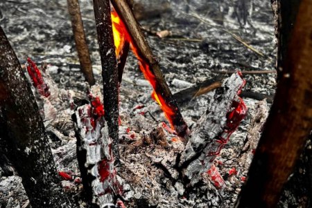 За сутки в Одесской области из-за пожаров в экосистемах было сожжено 40 гектаров земли (фото)