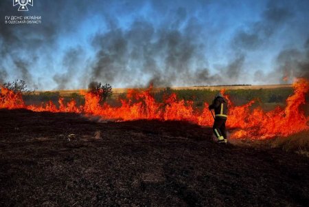 За сутки в Одесской области из-за пожаров в экосистемах было сожжено 40 гектаров земли (фото)
