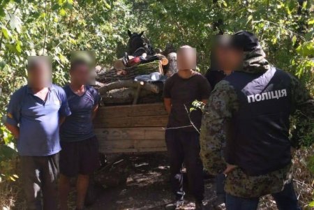 В Раздельнянском районе пресечена вырубка заповедного леса (фото)