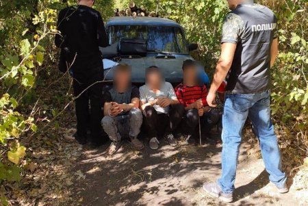 В Раздельнянском районе пресечена вырубка заповедного леса (фото)