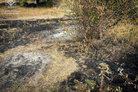За сутки в Одесской области спасатели тушили сухую траву на площади более 17 тысяч га