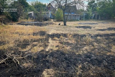 За сутки в Одесской области спасатели тушили сухую траву на площади более 17 тысяч га