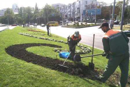 На улицах Одессы коммунальщики высадили вместо летних цветов разноцветные хризантемы (фото)