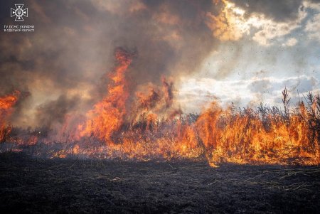 Спасатели Одесской области за сутки более 30 раз тушили пожары в экосистеме (фото)