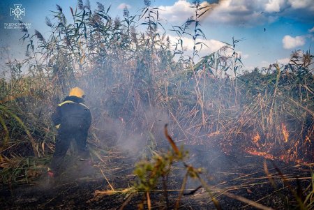 Спасатели Одесской области за сутки более 30 раз тушили пожары в экосистеме (фото)