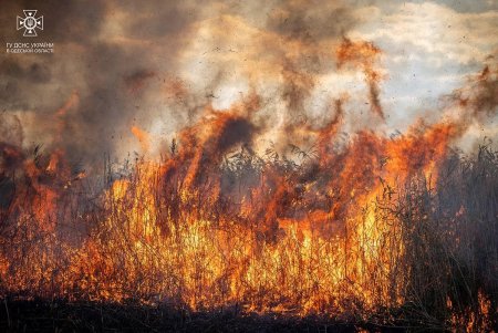 Спасатели Одесской области за сутки более 30 раз тушили пожары в экосистеме (фото)
