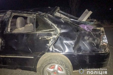 Житель Раздельнянского района сел за руль пьяным: его авто перевернулось из-за чего травмировался его малолетний сын и двое знакомых (фото)