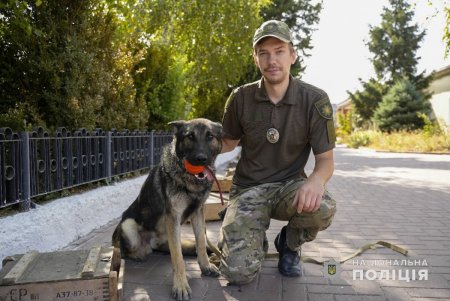 Американские партнеры передали в Одесский кинологический центр полиции четырех немецких и бельгийских овчарок (фото, видео)