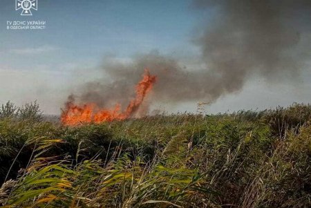 За сутки в Одесской области произошло 72 пожара (фото)