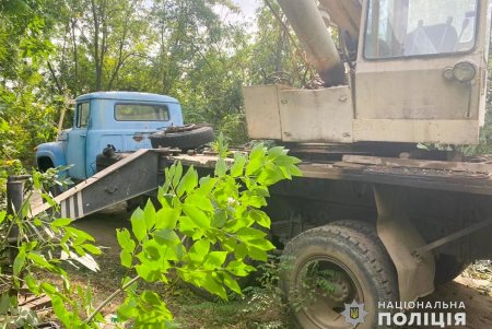 В Придунавье «черные лесорубы» вырубили почти два десятка ценных деревьев (фото) 