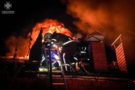 Спасатели ликвидировали масштабный пожар под Одессой (фото)