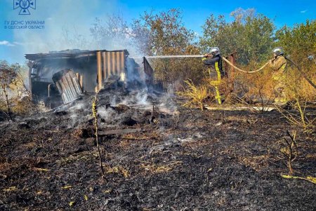 В Березовском районе «на горячем» поймали шестерых поджигателей сухостоя (фото)