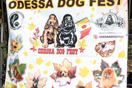 На фестивале обученные собаки помогали одесситам преодолевать стресс (фото)