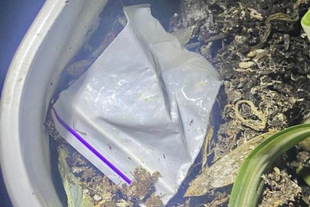 На Канатной в арт-клубе во время комендантского часа во всю развлекалась молодежь (фото)