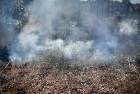 В Раздельнянском районе выявили виновницу, сжигавшую сухую траву (фото)
