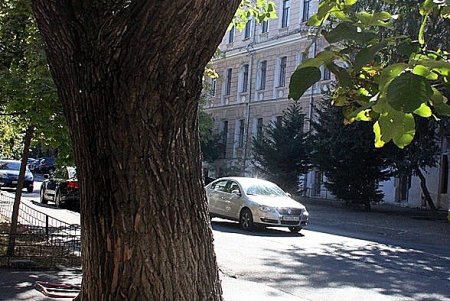 Улица Университетская — тихий центр Одессы, из которого постепенно «уходит тишина» (фоторепортаж)